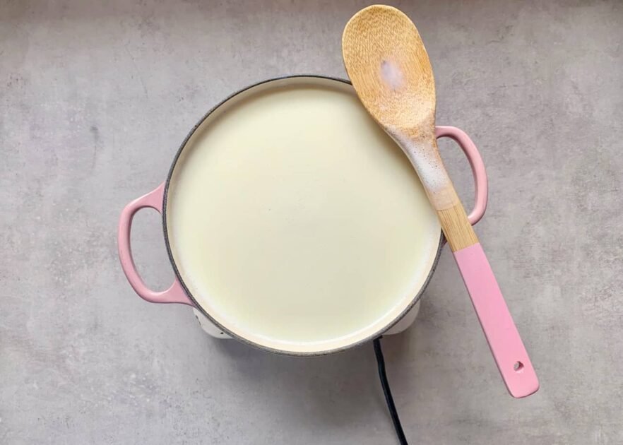 iogurte natural bacterias