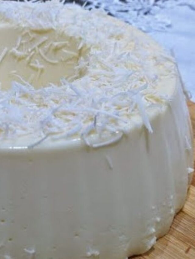  Flan de Tang abacaxi