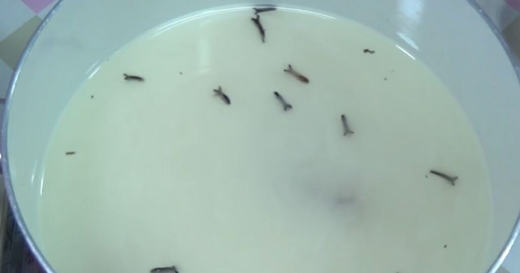 Arroz Doce Cremoso cravo