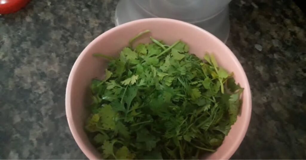 cheiro verde para molho caseiro