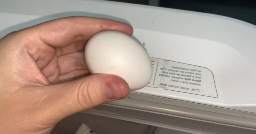 pao fermento de bolo ovo