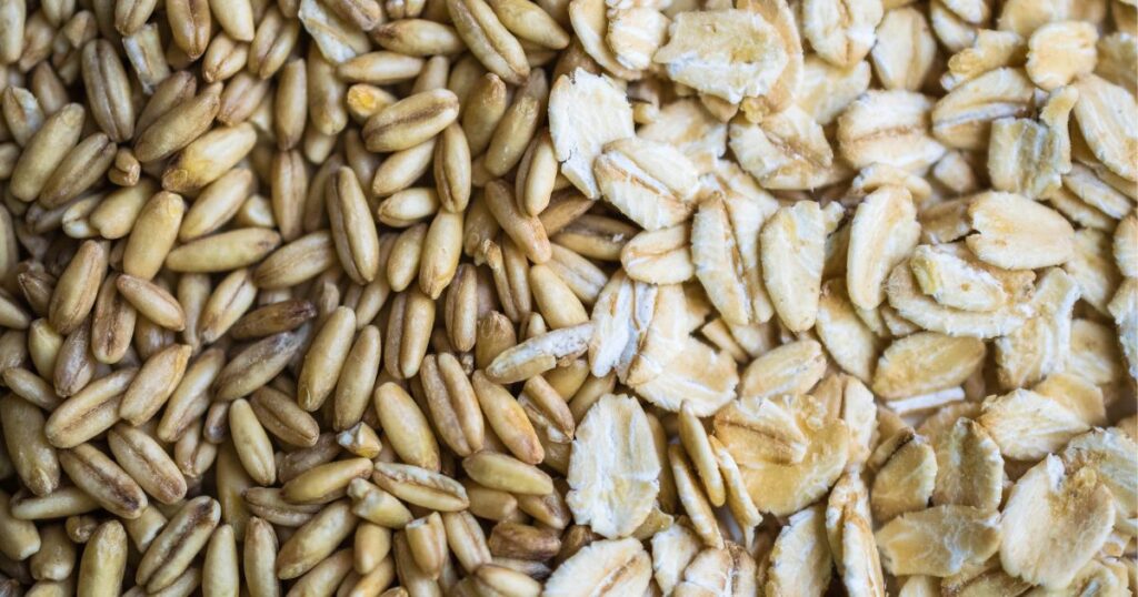 racao humana emagrece