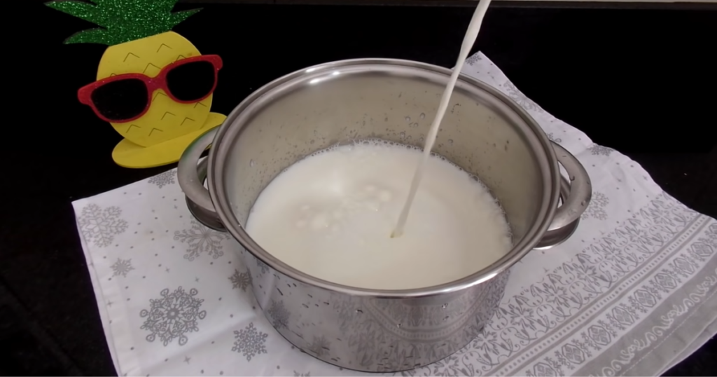 Manjar de coco com calda de ameixa leite