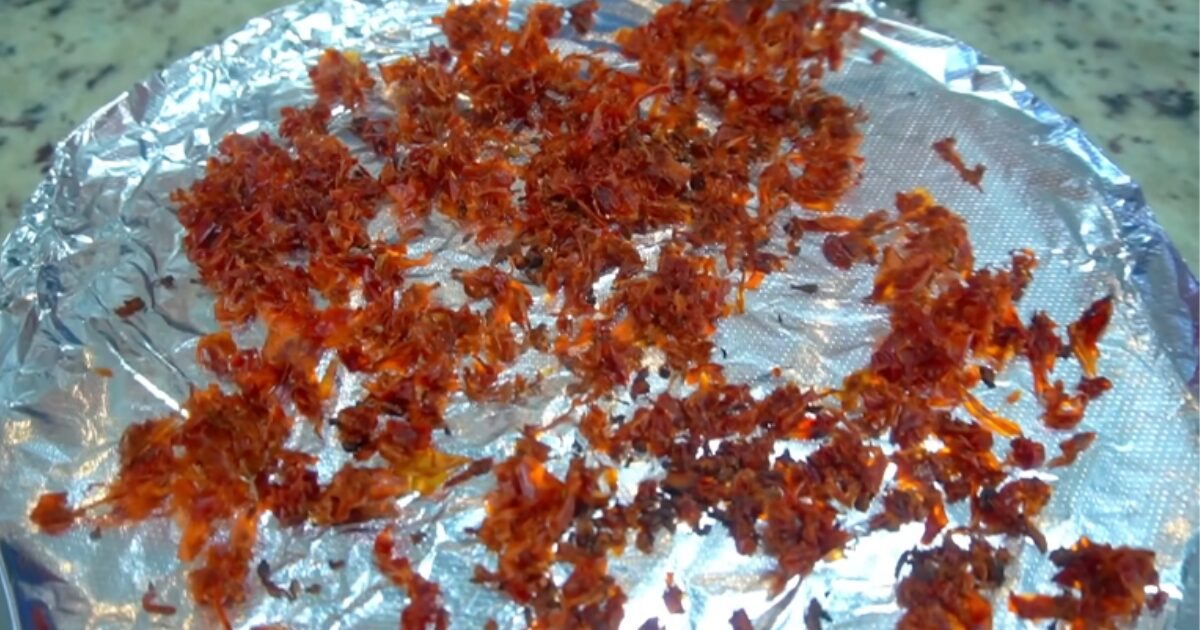 paprica pimentao desidratado