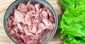 Rico em proteína, atum em lata tem suas desvantagens