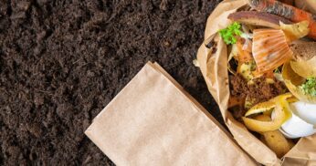 5 alimentos que jogamos fora mas podemos reaproveitá-los