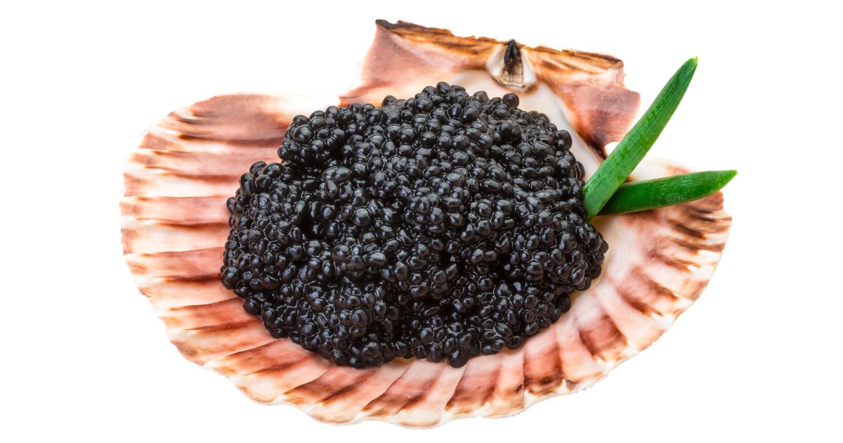  Você sabe o que é caviar?