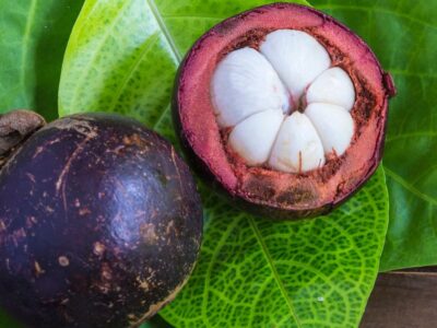 mangostin fruta mangostao