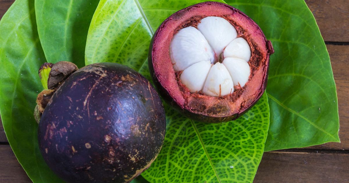  Conheça a fruta mangostin, é exótica e rica em nutrientes