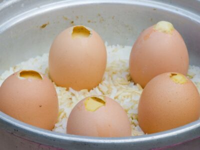 o que pode panela eletrica