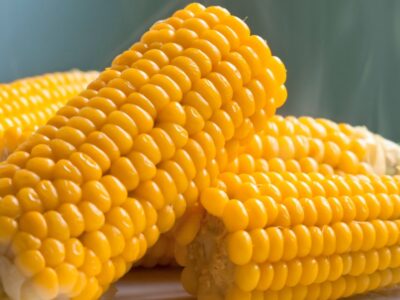 tempo cozinhar milho