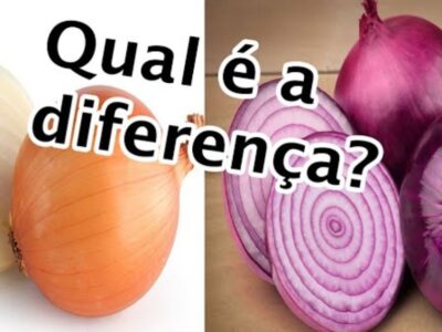 cebola roxa branca