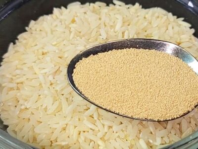 fermento biologico arroz