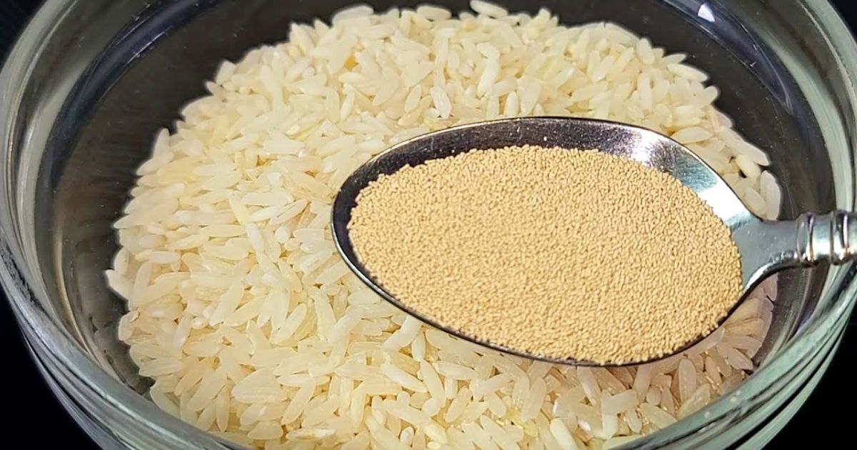  O que acontece se misturar fermento com arroz, o resultado é delicioso e você vai querer fazer sempre