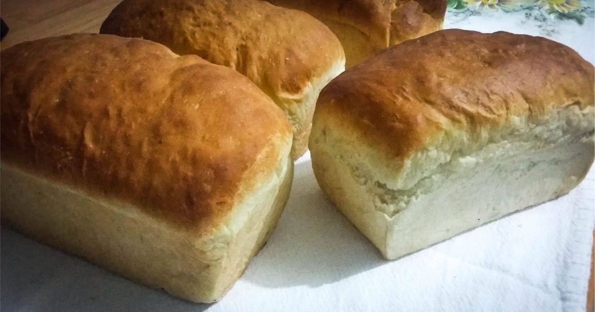 Pão caseiro sem glúten e sem lactose perfeito para dietas restritivas, com sabor delicioso e textura macia