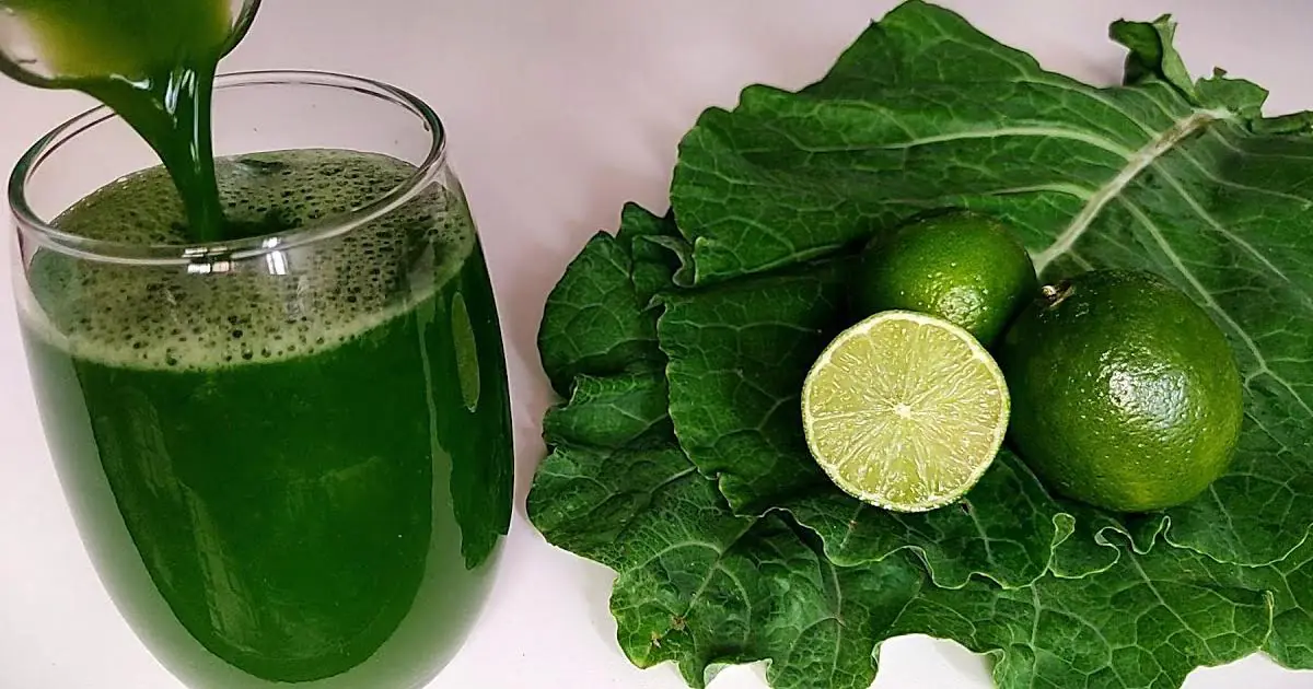  Para que Serve o Suco de Couve com Limão? Descubra o Modo de Preparo e Seus Benefícios